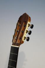 君島聰 ステラ　Stella 630㎜_2