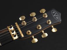 EVH LIMITED EDITION STAR ~Stealth Black~_3