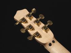 EVH LIMITED EDITION STAR ~Stealth Black~_9