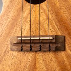 Pono AS-K_2