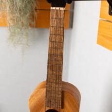 Pono AS-K_4