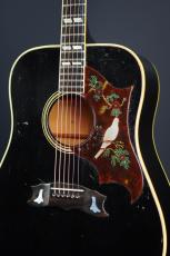 Gibson DOVE Ebony_3