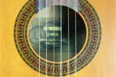 YAMAHA G80-A