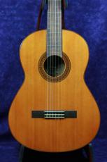 YAMAHA G80-A_2