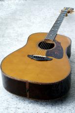 Terry's Terry Premium Terry PTJ-100 AB #82 【現物動画あり】【Brazilian Rosewood】【ラスト1本】_2