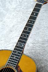 Terry's Terry Premium Terry PTJ-100 AB #82 【現物動画あり】【Brazilian Rosewood】【ラスト1本】_4