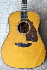 Terry's Terry Premium Terry PTJ-100 AB #82 【現物動画あり】【Brazilian Rosewood】【ラスト1本】_5