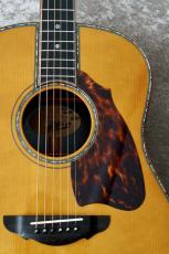 Terry's Terry Premium Terry PTJ-100 AB #82 【現物動画あり】【Brazilian Rosewood】【ラスト1本】_6