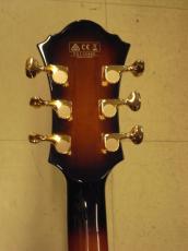Ibanez AF2000 (2021)_6