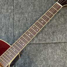 Takamine 【現物動画あり】DMP551C WR #62120020 【綺麗なシースルーワインレッド】_6