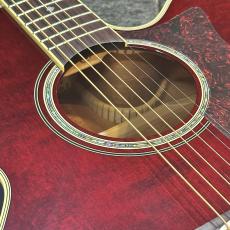 Takamine 【現物動画あり】DMP551C WR #62120020 【綺麗なシースルーワインレッド】_8