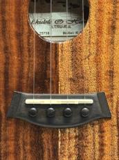 Kanile'a K-1S/DG Soprano Deluxe Gloss 【2022年製】【ソプラノ・デラックス】【送料込】_5