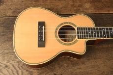Tony Graziano Tenor 5strings_3
