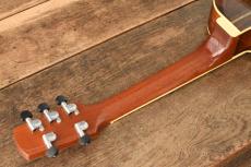 Tony Graziano Tenor 5strings_4