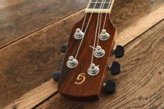 Tony Graziano Tenor 5strings_6