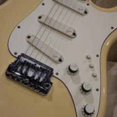 Fender Elite Stratocaster White Alder/ Rosewood_5