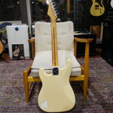 Fender Elite Stratocaster White Alder/ Rosewood_9