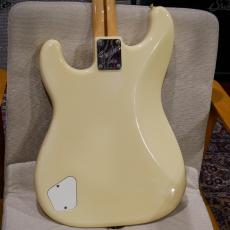 Fender Elite Stratocaster White Alder/ Rosewood_10
