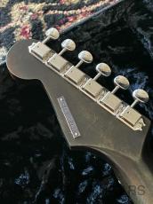 GOODNESS GUITARS FC-TL/AL-M/AGD "苔" MOSS_9