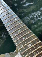 GOODNESS GUITARS FC-TL/AL-M/AGD "苔" MOSS_10