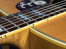 Orville J-200 w/PU_8