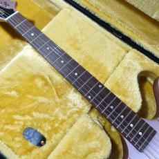 Epipohone Inspired by Gibson 1963 Firebird I Heather Poly_3