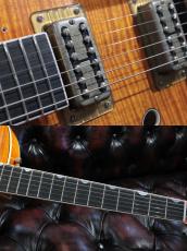 Gretsch USA Custom Shop G6120-59 Tiger Flame Relic [約3.35㎏][当店特注品]_8