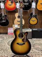 Takamine DMP500CMAD-DC 【2013年製】_2