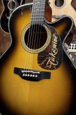 Takamine DMP500CMAD-DC 【2013年製】_4