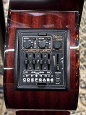 Takamine DMP500CMAD-DC 【2013年製】_9