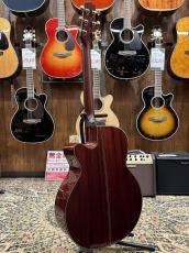 Takamine DMP500CMAD-DC 【2013年製】_11