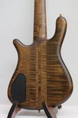 Warwick Custom Shop Master Built Streamer Stage I 5st / Antique Tobacco Transparent Satin_8