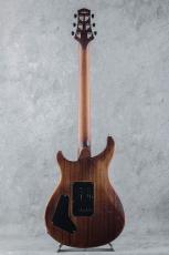 Bacchus Hand Made Series Licks Standard -Brown Oil Finish-_5