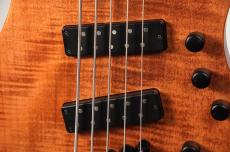 strandberg Boden Prog Bass 5 Ebony -Brown- [3.05kg]_6