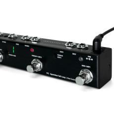 One Control Agamidae Tail Loop 【6LOOP小型プログラマブルスイッチャー】_3