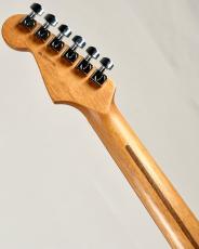 Fender Limited American Professional II Stratocaster HH -Ice Blue Metallic-【3.55kg】_10