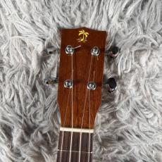 ILIKAI IL-SOP-PINE-4MGG【現物画像】10/23更新_5