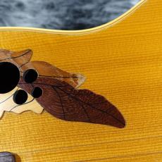 Ovation 1718-4 Elite_4