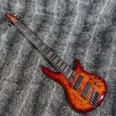 Ibanez SRMS806_2