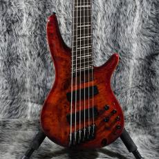 Ibanez SRMS806_8