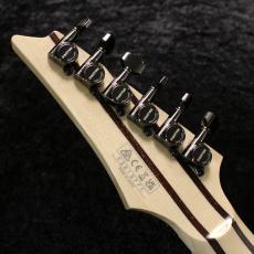 Ibanez j-Custom Series RG8570 RS-【4.01 kg】#F2613771_8