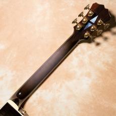 Aria Pro II FA-2100 SBK(See-through Black)【お取り寄せ商品】_11