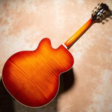 Aria Pro II FA-2100 ALB(Almond Burst)【お取り寄せ商品】_9