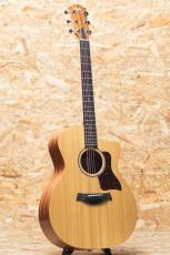 Taylor 14ce_3