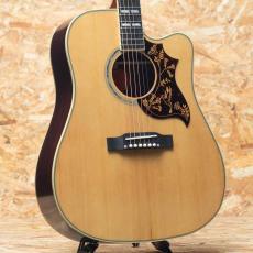 Epiphone Inspired by Gibson Custom Hummingbird Deluxe EC Natural