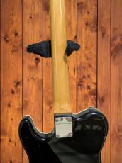 Robin Robin Rawhide custom MAID IN USA_9
