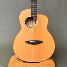 aNueNue L100E
