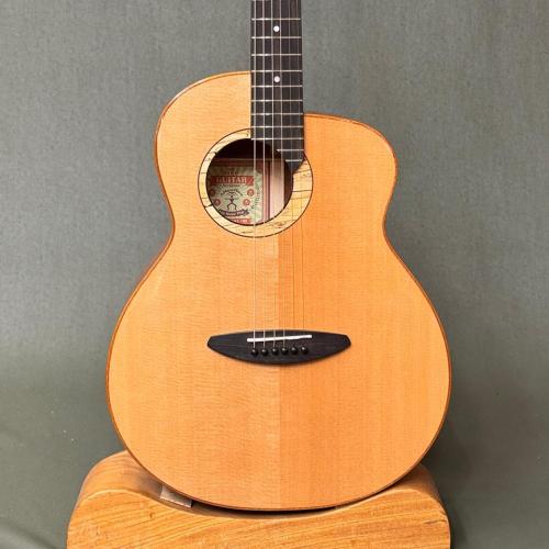 aNueNue L100E
