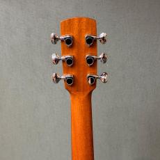 aNueNue L100E_6