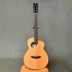 aNueNue L100E_7